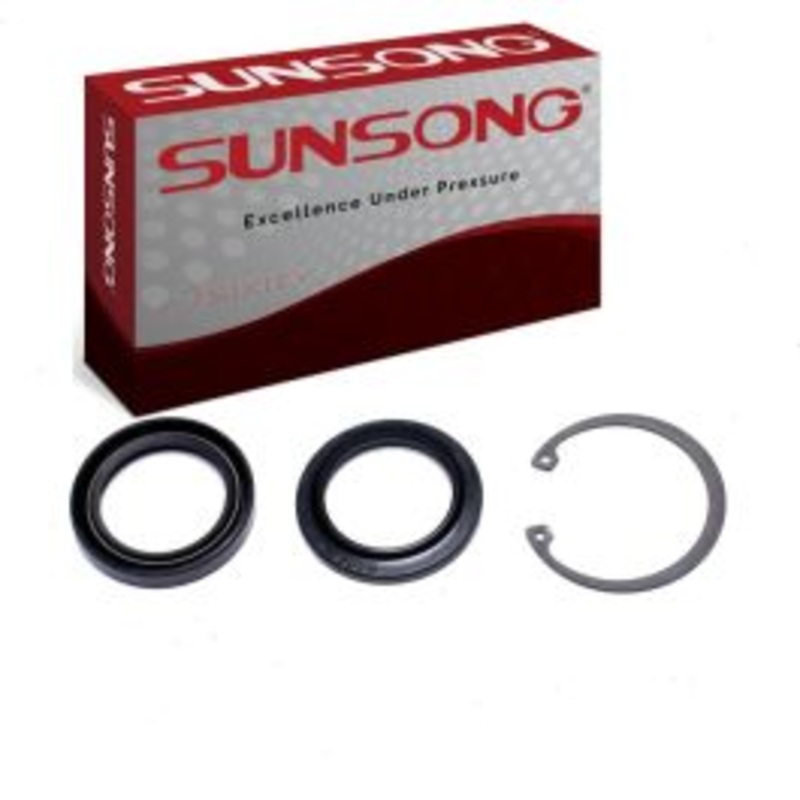 Sunsong Lower Steering Gear Pitman Shaft Seal Kit for 1978-1979 Ford Thunderbird