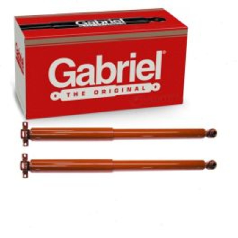 2 pc Gabriel Guardian 81667 Shock Absorbers