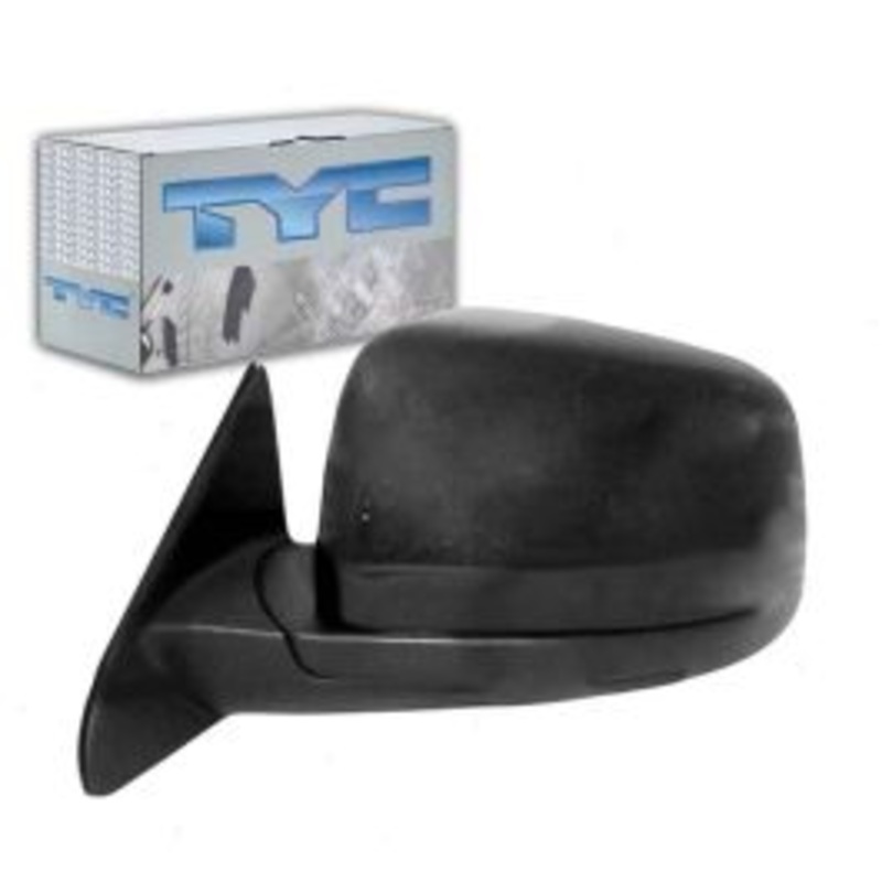TYC 4120642 Door Mirror