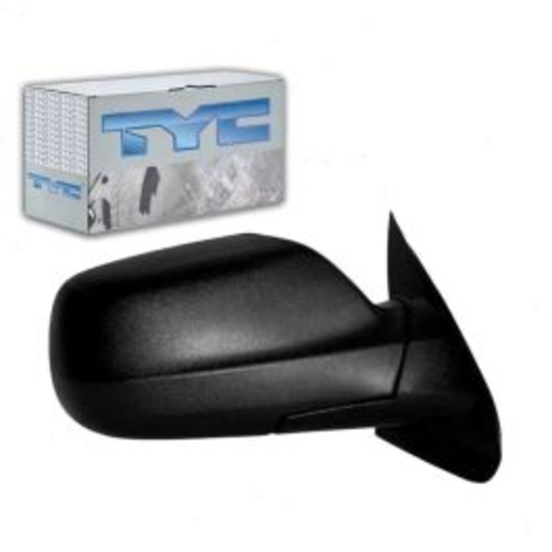 TYC 4120431 Door Mirror