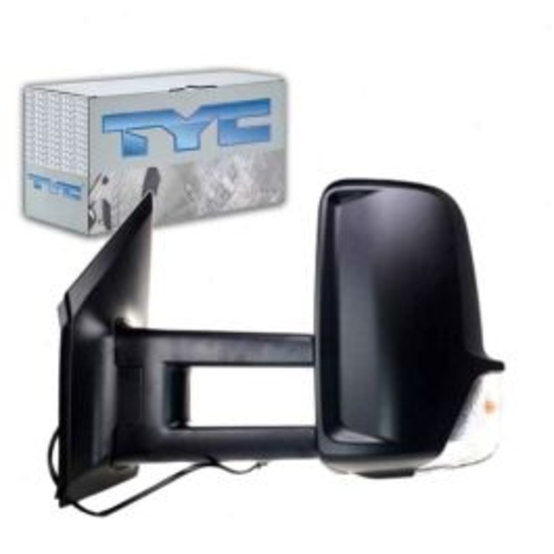 TYC 8420022 Door Mirror
