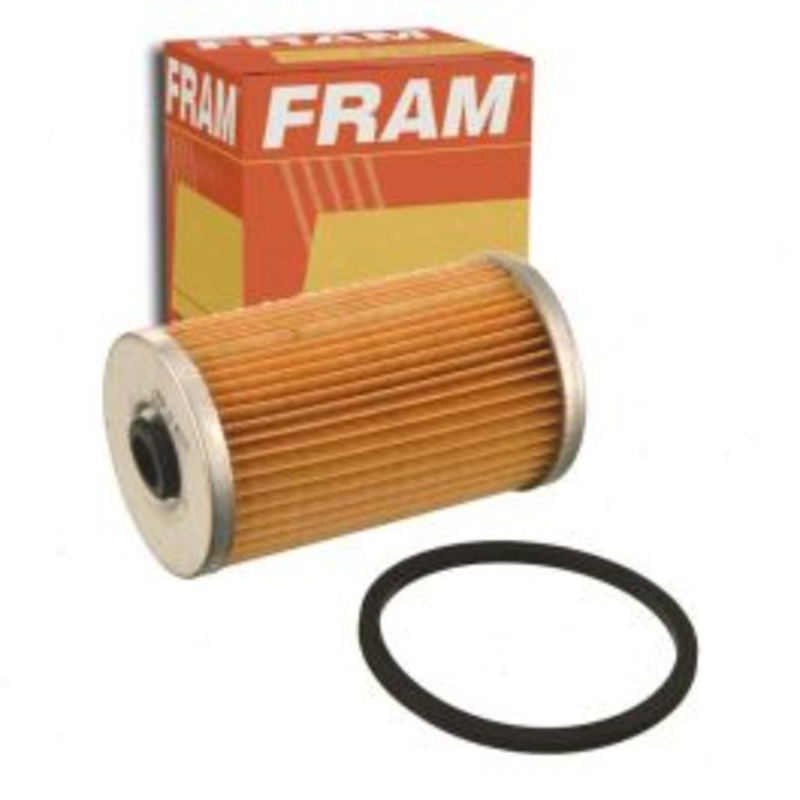 FRAM Fuel Filter for 1969-1974 Ford E-100 Econoline