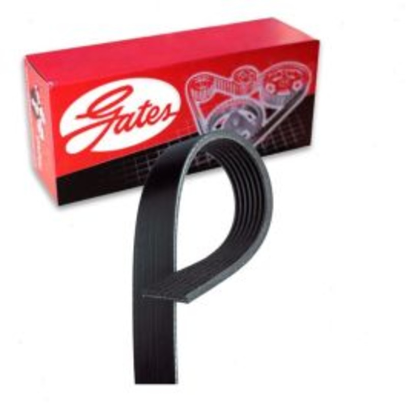 Gates Micro-V Serpentine Belt for 1994-1996 Dodge Ram 1500 3.9L 5.2L 5.9L V6 V8