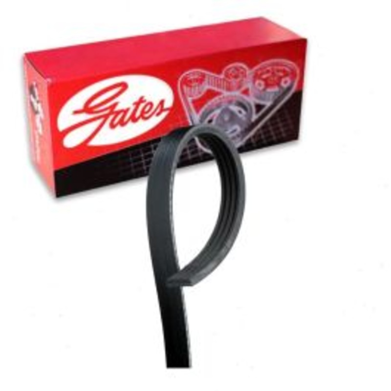 Gates Micro-V Fan Air Pump Air Pump Serpentine Belt for 1987 Ford E-250 Econoline 5.8L V8