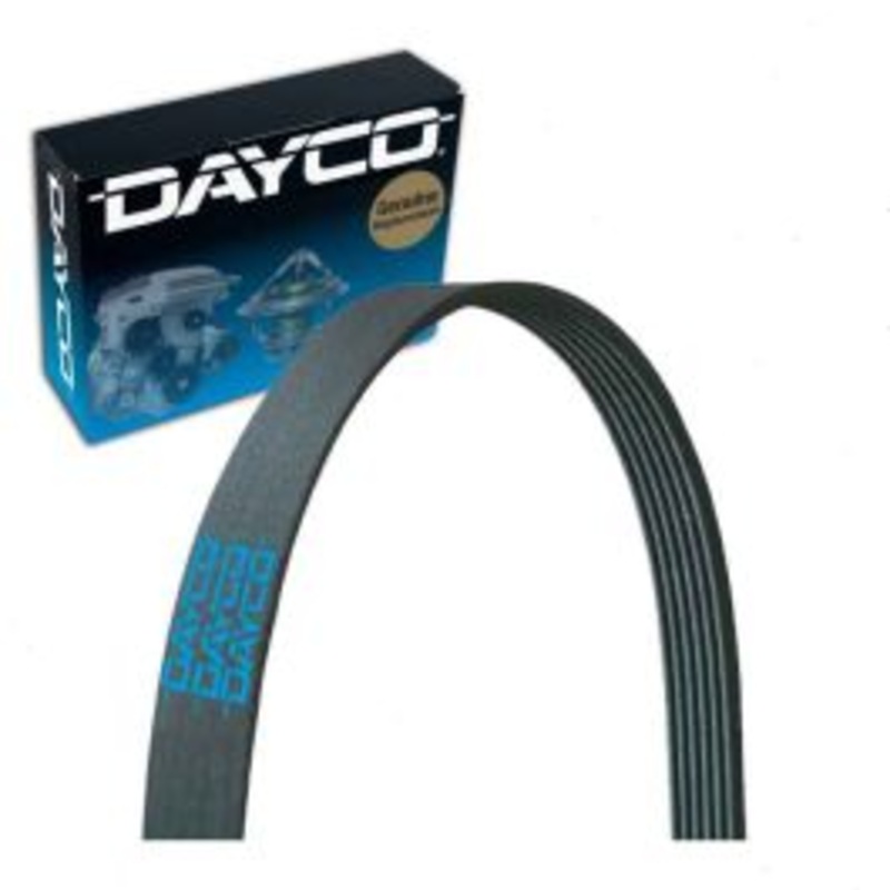 Dayco 5040305 Serpentine Belt