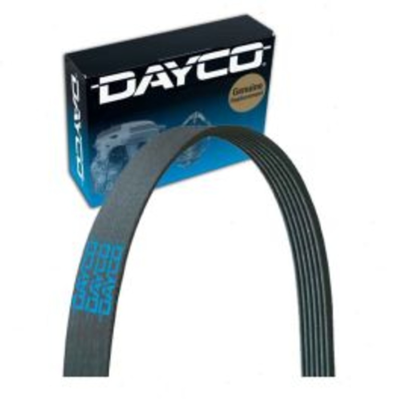 Dayco Main Drive Serpentine Belt for 2017 GMC Acadia 3.6L V6