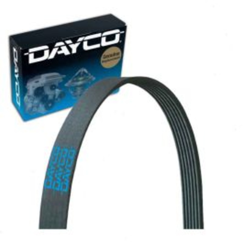 Dayco 5081025 Serpentine Belt
