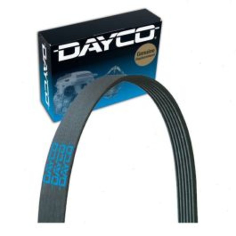 Dayco 5060968 Serpentine Belt