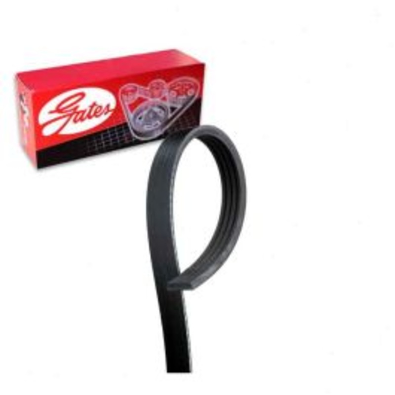 Gates Micro-V K040465 Serpentine Belt