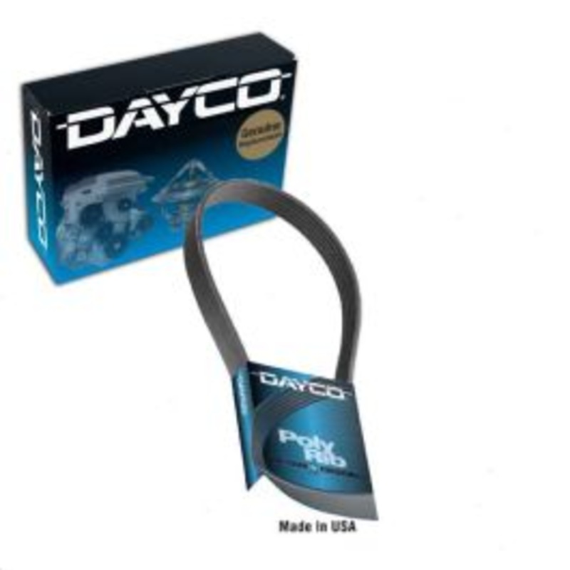 Dayco 5030231 Serpentine Belt