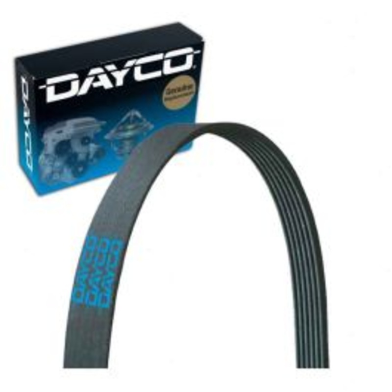 Dayco 5040355 Serpentine Belt